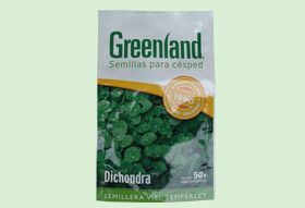 Dichondra